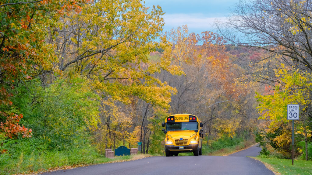 School Bus on Road